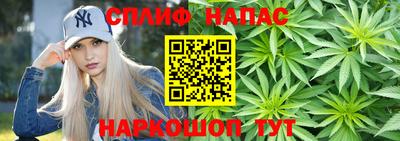 spice Будённовск