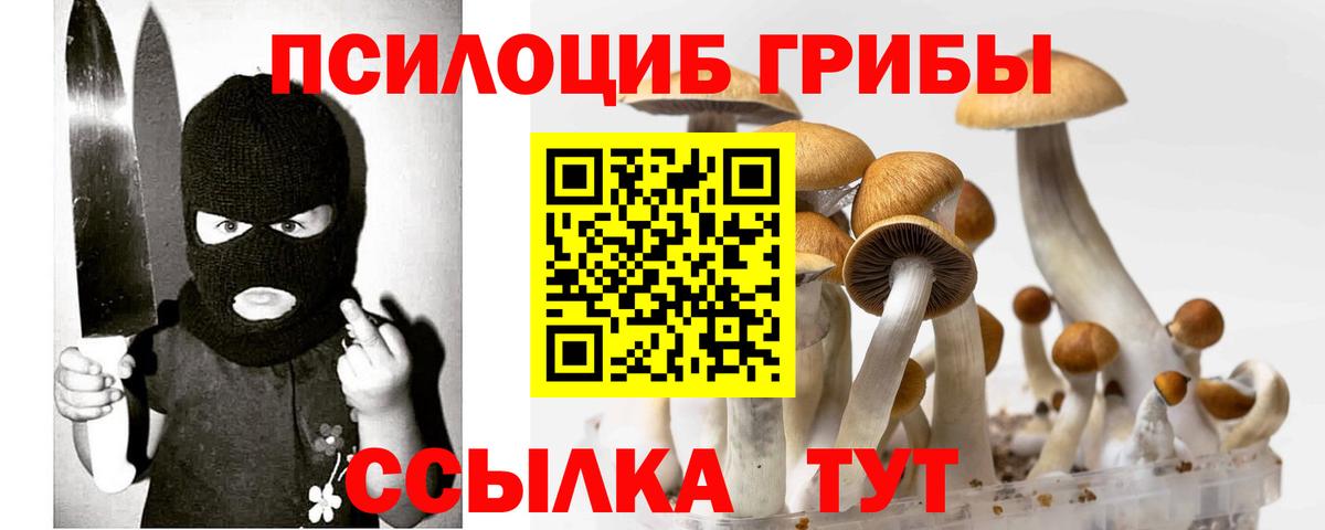 Нягань  Псилоцибиновые грибы Psilocybine cubensis  Вход с VPN  Галлюциногенные грибы прущие грибы 